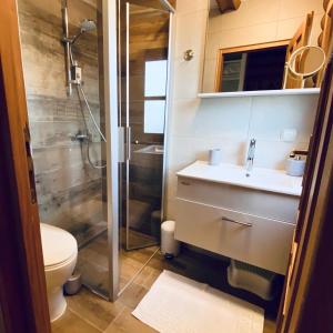 ein Bad mit einer Dusche, einem Waschbecken und einem WC in der Unterkunft Pine Lodge in Hlevci