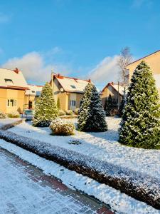 un patio cubierto de nieve con árboles y casas en Baza otdikha Rozovaya Dacha, en Kutuzovskoye