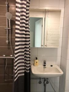 a bathroom with a sink and a shower curtain at Hotel & Hostel Silmu in Evitskog