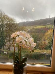 Hebden Royd House Hebden Bridge