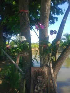 un árbol con flores en un cartel junto a un árbol en Ban Chang Klang na en Ban Nong Ap Chang