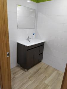 a bathroom with a sink and a mirror at APARTAMENTO SENDA SUR in Porriño