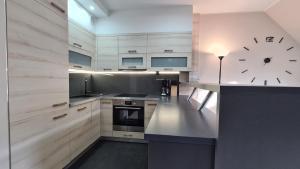 Η κουζίνα ή μικρή κουζίνα στο Lux Apartment Duplex