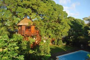 Zahrada ubytování Tree Lodge Mauritius