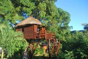 Zahrada ubytování Tree Lodge Mauritius