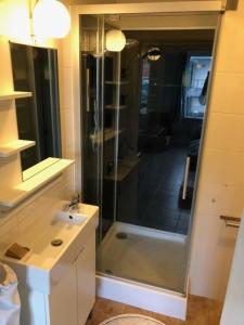 La salle de bains est pourvue d'une douche et d'un lavabo. dans l'établissement Residentie Denise, au Coq