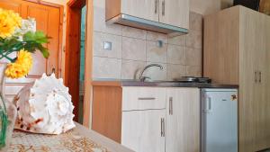 a kitchen with a sink and a table with a vase of flowers at Villa Pirofani in Sarti