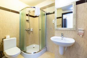 a bathroom with a shower and a toilet and a sink at Hotel Restaurant Alesia in Corunca