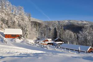 een met sneeuw bedekte hut midden in een berg bij Chata Wuja Toma in Szczyrk