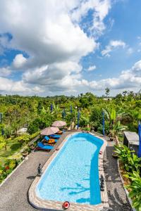 วิวสระว่ายน้ำที่ Sandan Agro Resort Kintamani หรือบริเวณใกล้เคียง