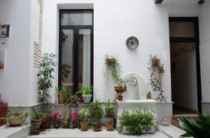 A garden outside El Granado Hostel