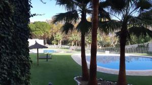 uma vista para uma piscina com palmeiras e um banco em apartamento Xeresa del monte Resort em Jeresa