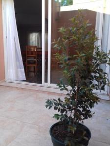 Κήπος έξω από το Departamentos Roque Pérez