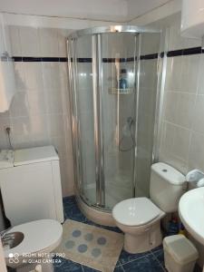 een badkamer met een douche, een toilet en een wastafel bij Mare Verde - JOY in Adeje