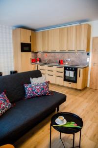 Kuchyň nebo kuchyňský kout v ubytování Apartmán PMR