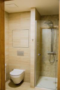 y baño con aseo y ducha acristalada. en Apartmán PMR, en Horní Maršov