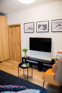 Televízia a/alebo spoločenská miestnosť v ubytovaní Apartmán PMR