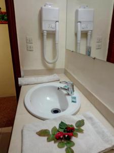 a bathroom with a sink with a flower on the counter at Hôtel Le Tinsouline in Zagora