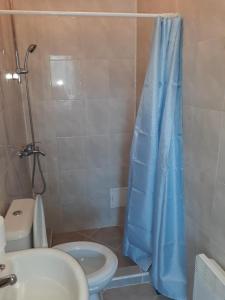 łazienka z toaletą i niebieską zasłoną prysznicową w obiekcie стаи за гости Севлиево studio for guests Sevlievo w mieście Sewliewo