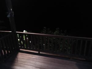 Balkón nebo terasa v ubytování Villa Wedang