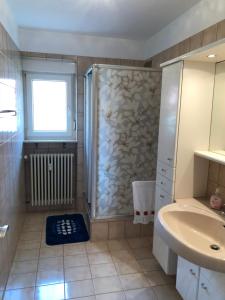 a bathroom with a shower and a sink at Gästehaus Alm-Blick in Murrhardt +17 photos