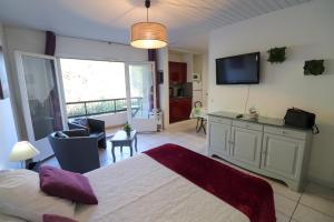 Μια τηλεόραση ή/και κέντρο ψυχαγωγίας στο Locations appartements standing Amélie-les-bains