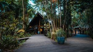 a wooden walkway leading to a house in the jungle at Ferntree Rainforest Lodge in Cape Tribulation