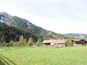 a large green field with a house and a mountain at apartment in Lenk in Simmental Bernese Oberland in Lenk