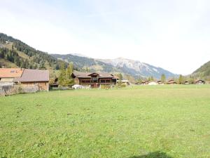 apartment in Lenk in Simmental Bernese Oberland في لينك: حقل كبير من العشب الأخضر مع منزل في الخلفية