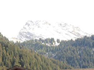 einen schneebedeckten Berg mit Bäumen davor in der Unterkunft apartment in Lenk in Simmental Bernese Oberland in Lenk im Simmental