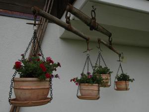 Foto sihtkohas Lenk asuva majutusasutuse Chalet in Lenk near Simmen Falls galeriist