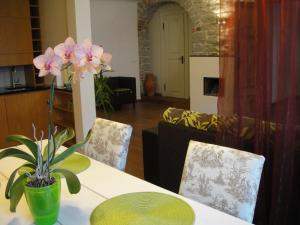 Gallery image of Old Town Apartment in Tallinn