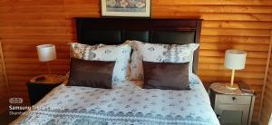 1 dormitorio con 1 cama con almohadas y 2 lámparas en B&B Shambala HN, en Pelarco