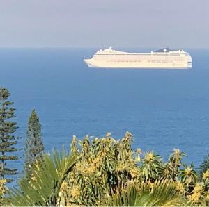 a cruise ship in the ocean with trees at Billfish Apartments in Ballito