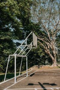 a basketball hoop in a parking lot with a tree at Hotel El Castillo Chinauta in Chinauta