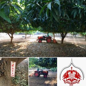 a collage of photos with a tractor under a tree at Dowlat Villas Palace-The Heritage in Himatnagar