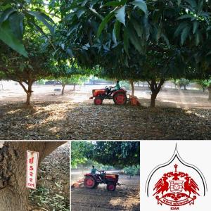 eine Collage von Fotos mit einem Traktor unter einem Baum in der Unterkunft Dowlat Villas Palace-The Heritage in Himatnagar