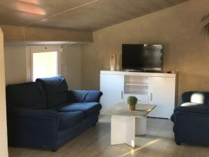 a living room with two blue couches and a tv at Apartaments els Pins - Sant Hilari Sacalm in Sant Hilari Sacalm