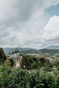 塞默靈的住宿－Der Löffler am Semmering Bed&Breakfast，相簿中的一張相片