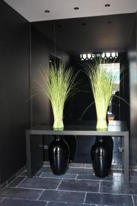 a vase filled with green plants next to a toilet at Hotel Domus in Boom