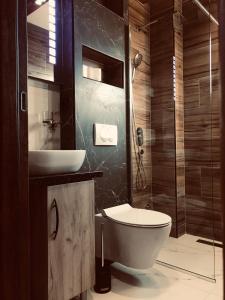 W łazience znajduje się toaleta, umywalka i prysznic. w obiekcie Vila Montenegrina w mieście Kolašin