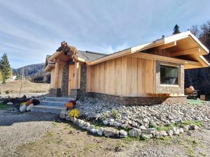 Gallery image of Alpin Lodge in Azuga