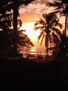 a sunset on the beach with palm trees at Suites Brilho do Sol in Ubatuba