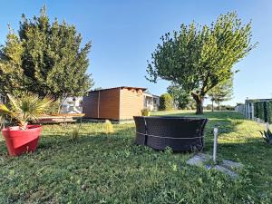 einen Hof mit zwei Topfpflanzen und einem Haus in der Unterkunft Galets Blancs Yourhosthelper in Royan