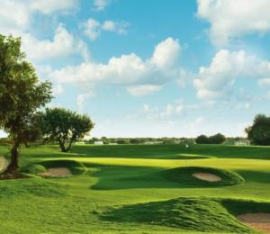 a view of a green golf course with a tree at Danielle boutique suite in Caesarea