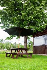 un tavolo da picnic con ombrellone di fronte ad un albero di Pensiunea Casa Maria a Corbeni