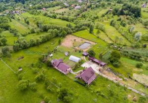 Gallery image of Pensiunea Casa Maria in Corbeni
