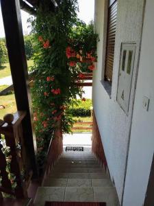 Vonkajšia záhrada v ubytovaní Apartments Poljanak
