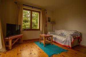 a living room with a couch and a television at Leśne zacisze in Rydzewo