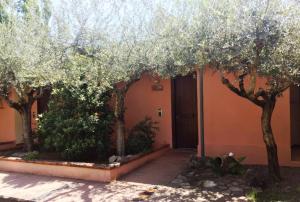 Zahrada ubytování AliaJazz Green b&b